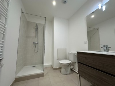 APPARTEMENT T1 A LOUER - SECLIN - 38.2 m2 - 595�&euro; charges comprises par mois